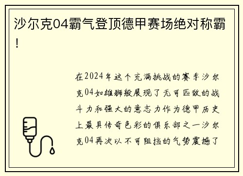 沙尔克04霸气登顶德甲赛场绝对称霸！