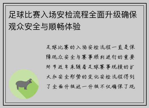 足球比赛入场安检流程全面升级确保观众安全与顺畅体验