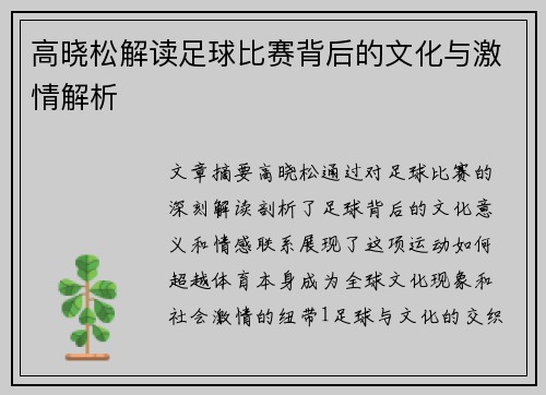 高晓松解读足球比赛背后的文化与激情解析