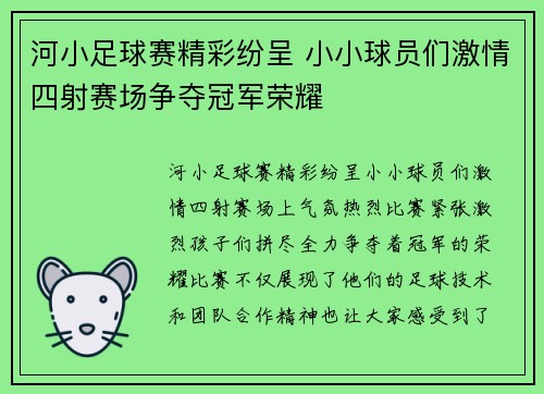 河小足球赛精彩纷呈 小小球员们激情四射赛场争夺冠军荣耀