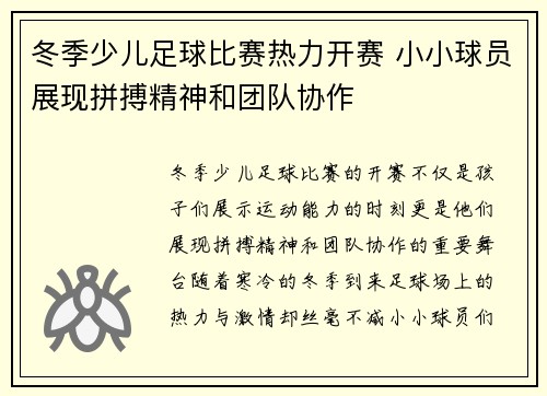 冬季少儿足球比赛热力开赛 小小球员展现拼搏精神和团队协作