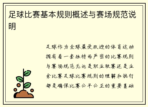 足球比赛基本规则概述与赛场规范说明