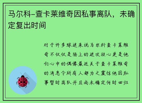 马尔科-查卡莱维奇因私事离队，未确定复出时间
