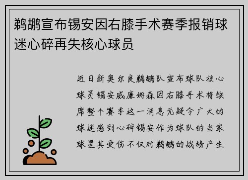 鹈鹕宣布锡安因右膝手术赛季报销球迷心碎再失核心球员