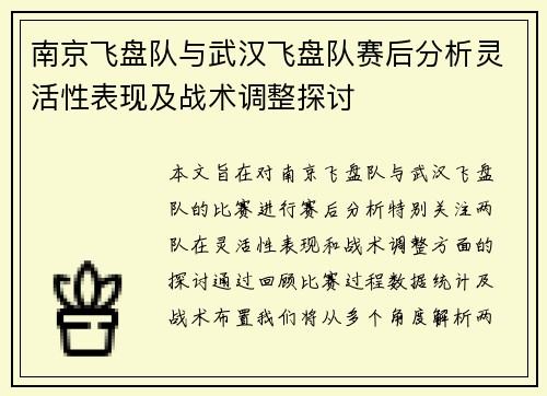 南京飞盘队与武汉飞盘队赛后分析灵活性表现及战术调整探讨